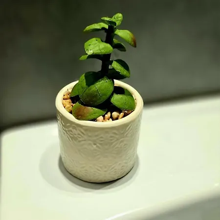 Apartament Green Residence Belgrad