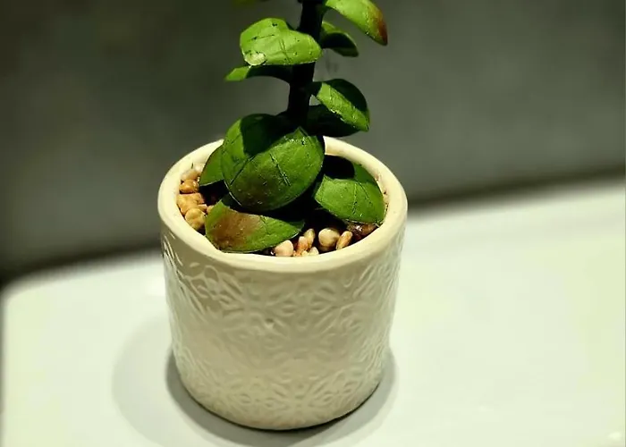 Appartement Green Residence Belgrade